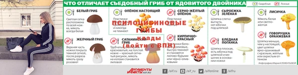mdpv Арсеньев