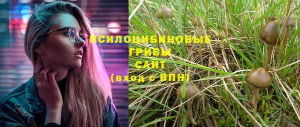 прущий лед Аркадак